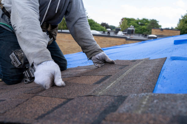 Best Roof Gutter Cleaning  in Arbuckle, CA